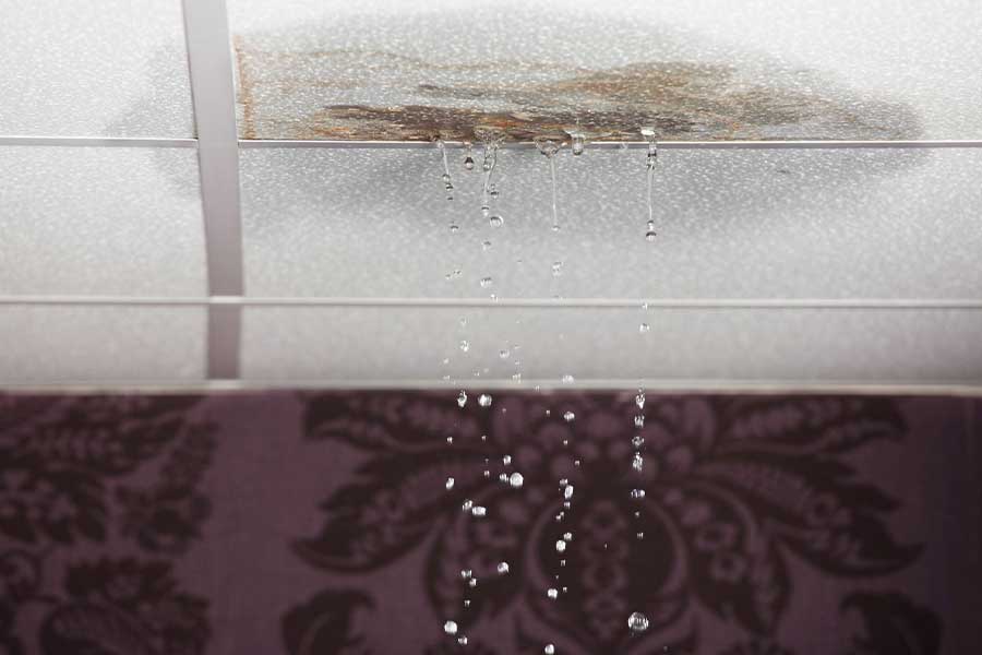 Water Leak Detection Services in San Diego, CA