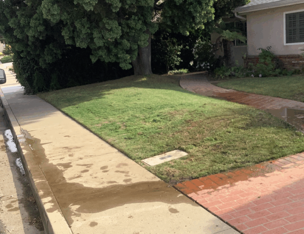 A freshly patched section of green grass in a front yard.